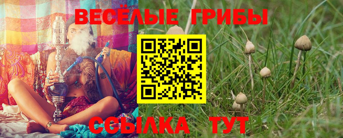 Псилоцибиновые грибы GOLDEN TEACHER Белореченск
