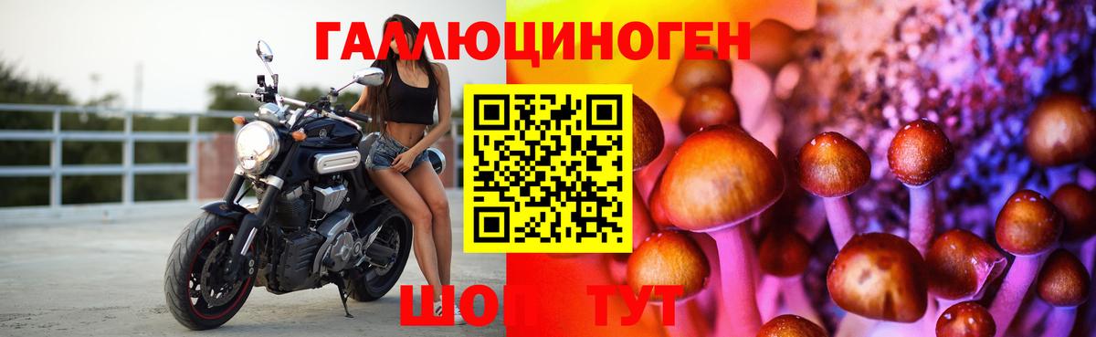 Псилоцибиновые грибы прущие грибы  Вход с VPN  купить наркоту  Белореченск 